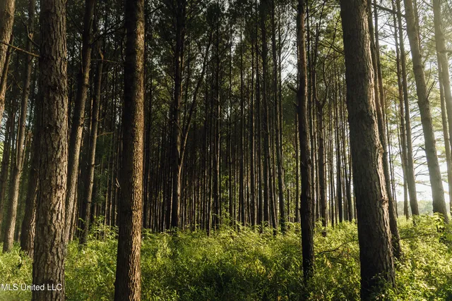 $1,295,000 | Weir-Highpoint Road, McCool, MS 39108