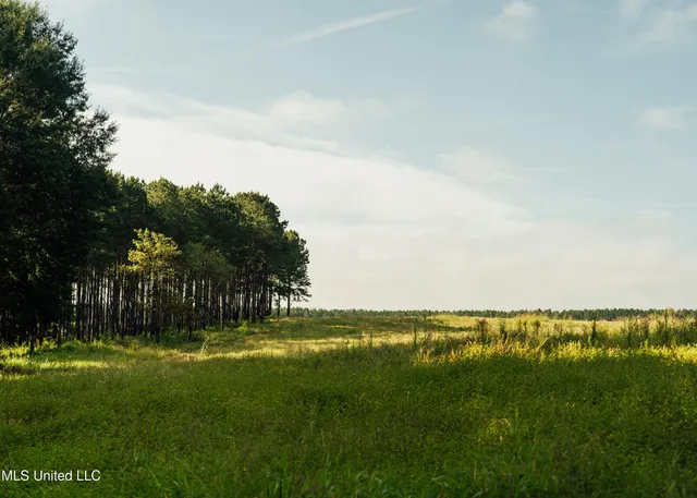 $1,295,000 | Weir-Highpoint Road, McCool, MS 39108