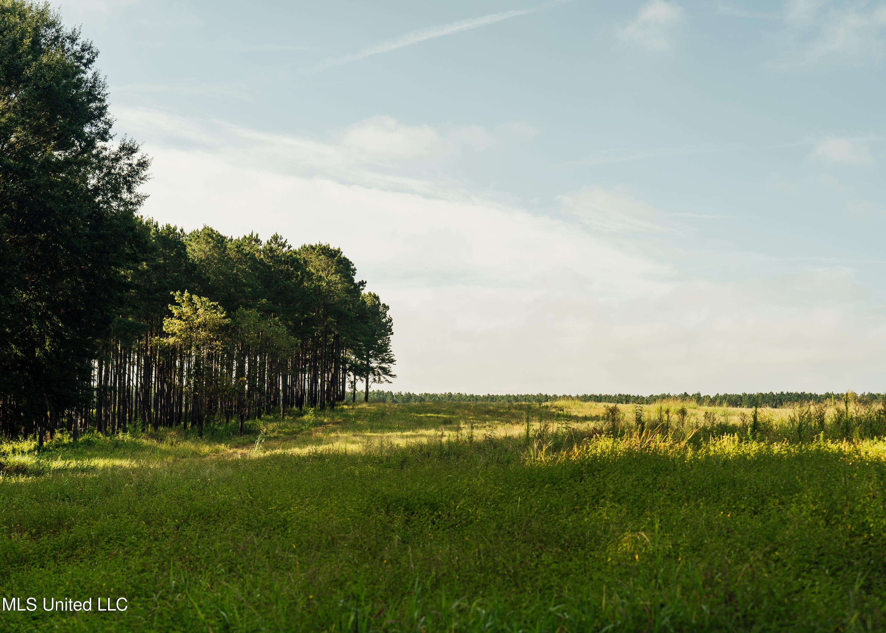 Weir-Highpoint Road McCool, MS 39108 - Photo 28 of 67 457 CHOCTAW PICS-33