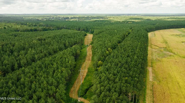 $1,295,000 | Weir-Highpoint Road, McCool, MS 39108