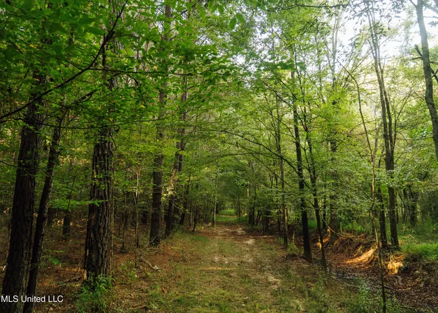 $1,295,000 | Weir-Highpoint Road, McCool, MS 39108