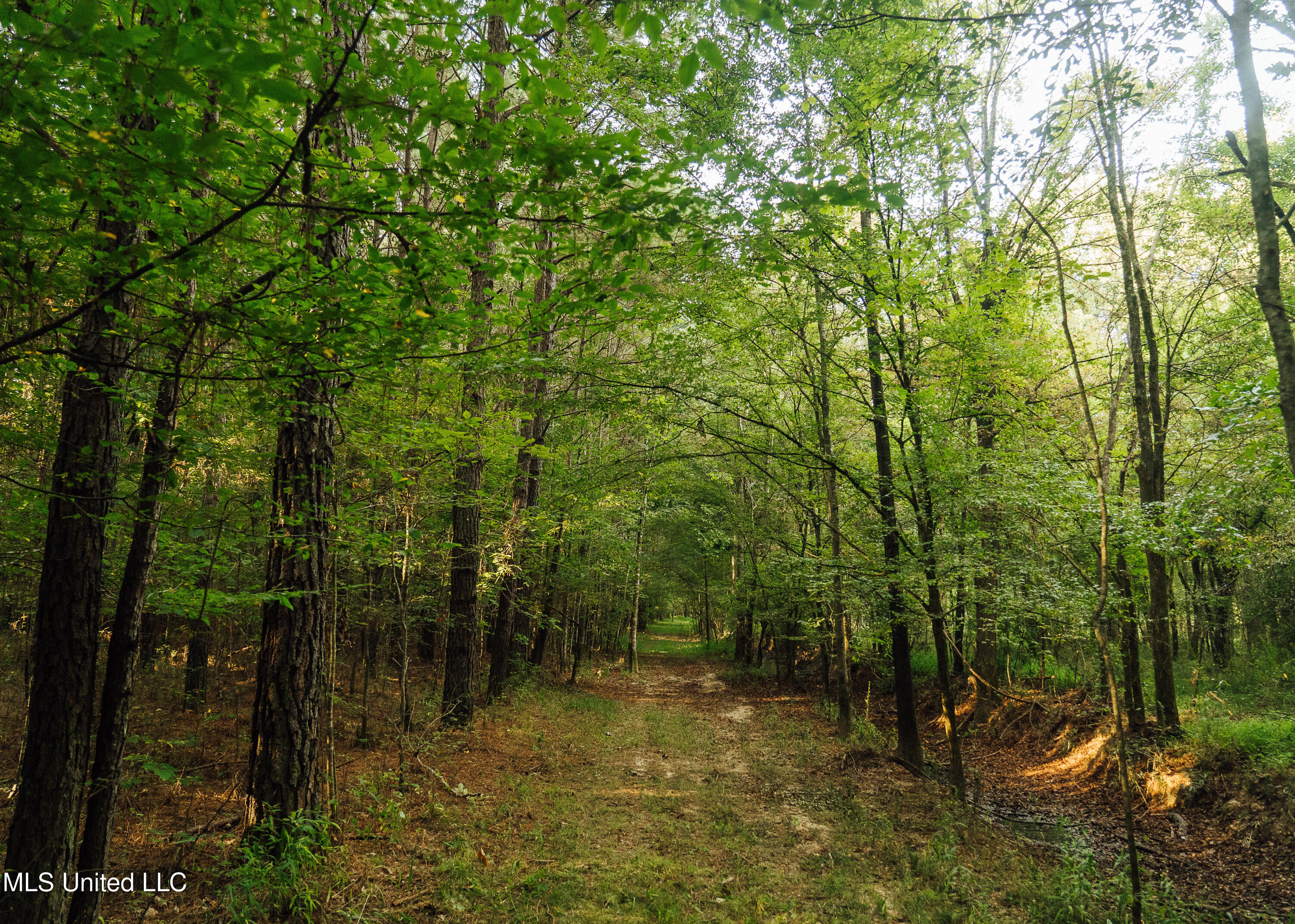 Weir-Highpoint Road McCool, MS 39108 - Photo 32 of 67 457 CHOCTAW PICS-20