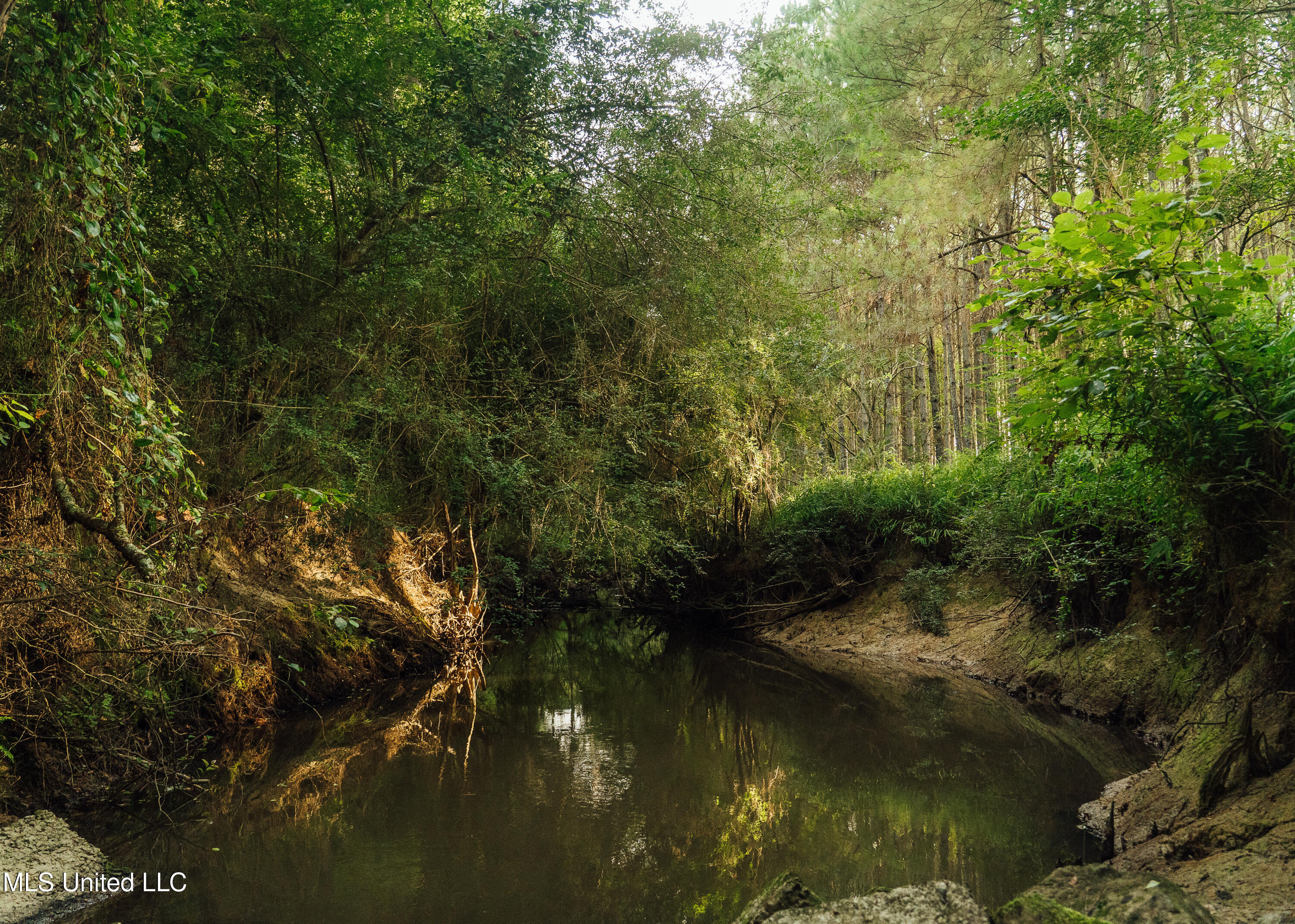 Weir-Highpoint Road McCool, MS 39108 - Photo 33 of 67 457 CHOCTAW PICS-24