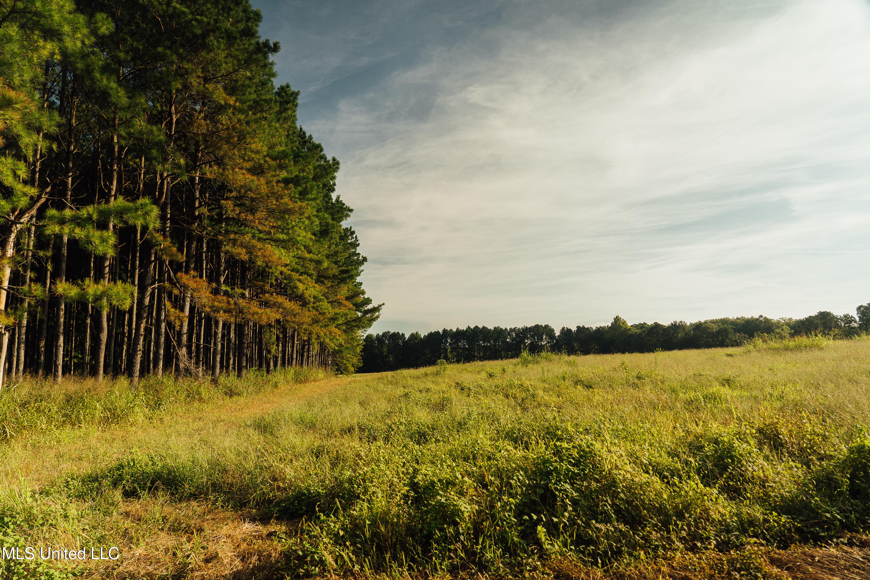 Weir-Highpoint Road McCool, MS 39108 - Photo 34 of 67 457 CHOCTAW PICS-27