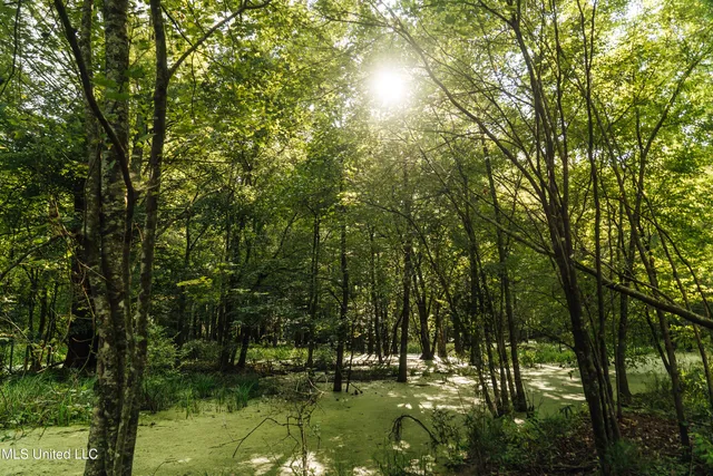 $1,295,000 | Weir-Highpoint Road, McCool, MS 39108