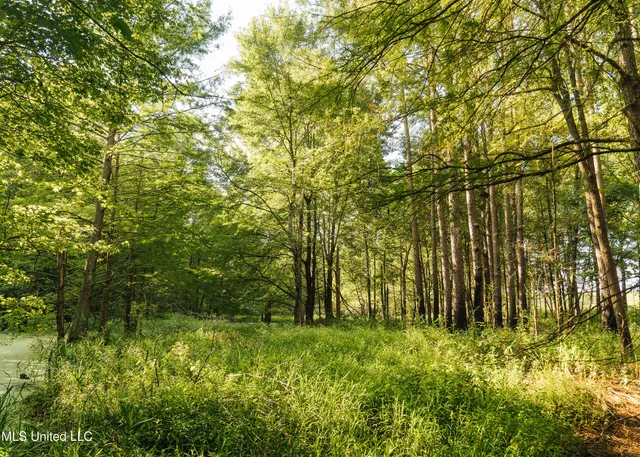 $1,295,000 | Weir-Highpoint Road, McCool, MS 39108