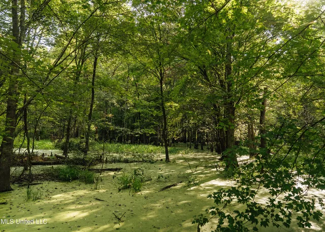 $1,295,000 | Weir-Highpoint Road, McCool, MS 39108