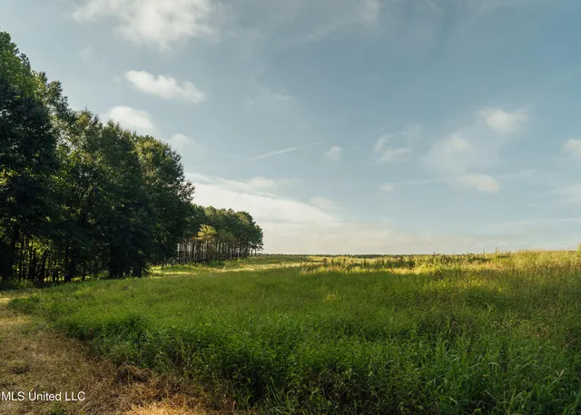 $1,295,000 | Weir-Highpoint Road, McCool, MS 39108