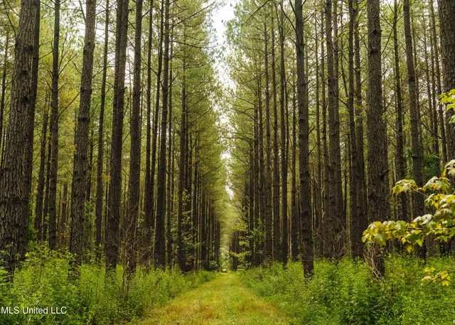 $1,295,000 | Weir-Highpoint Road, McCool, MS 39108