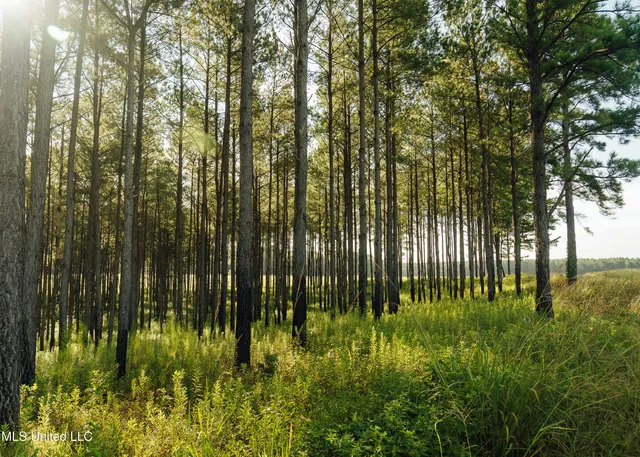 $1,295,000 | Weir-Highpoint Road, McCool, MS 39108