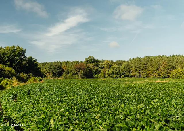 $1,295,000 | Weir-Highpoint Road, McCool, MS 39108