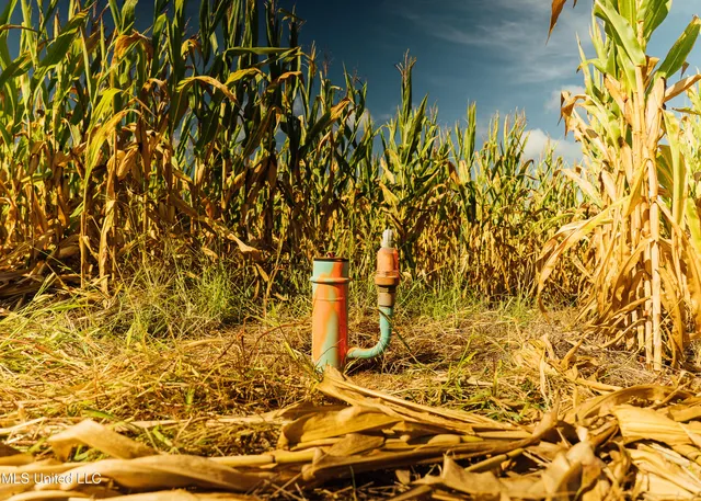 $1,295,000 | Weir-Highpoint Road, McCool, MS 39108