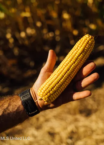 $1,295,000 | Weir-Highpoint Road, McCool, MS 39108