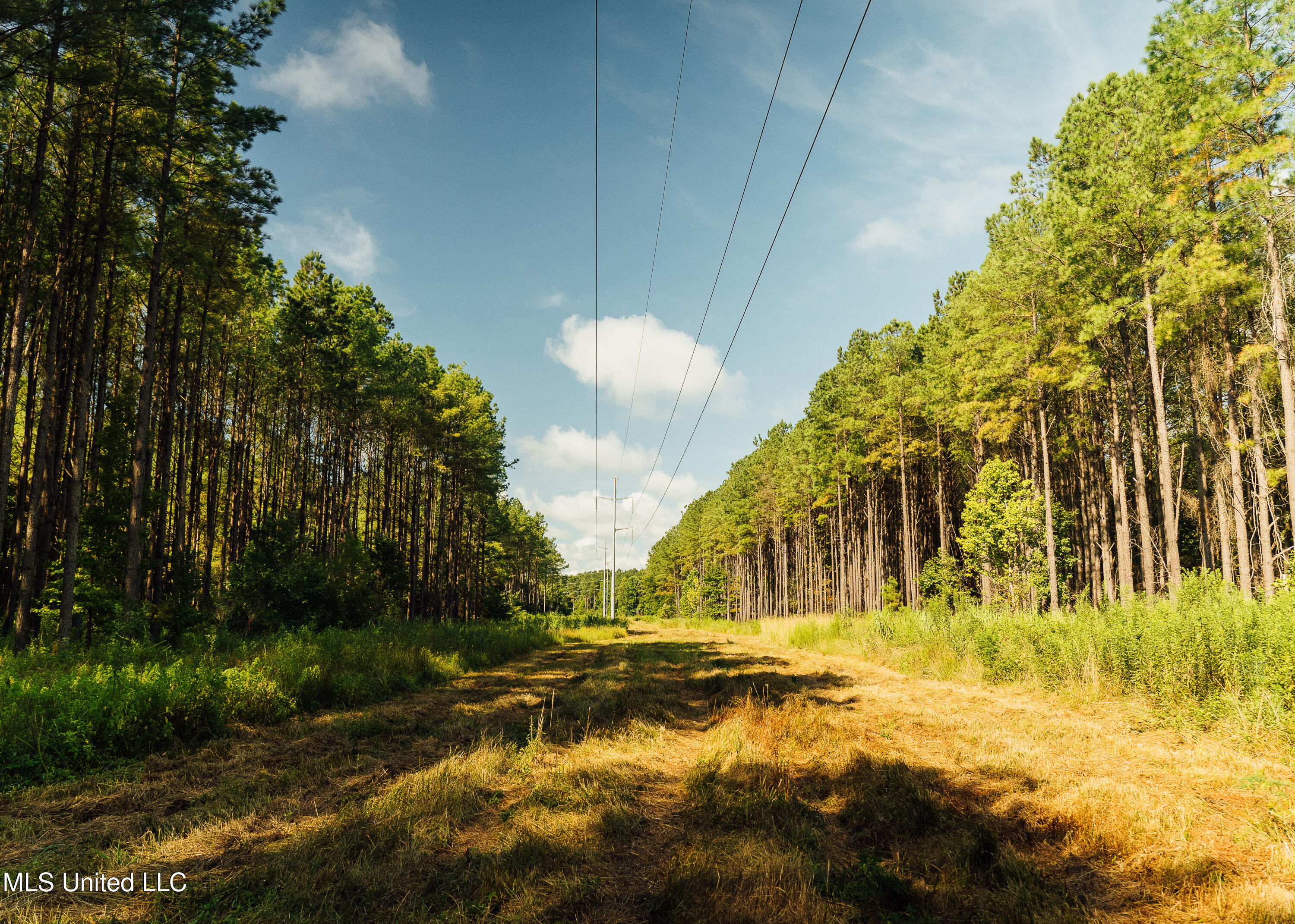 Weir-Highpoint Road McCool, MS 39108 - Photo 48 of 67 457 CHOCTAW PICS-45