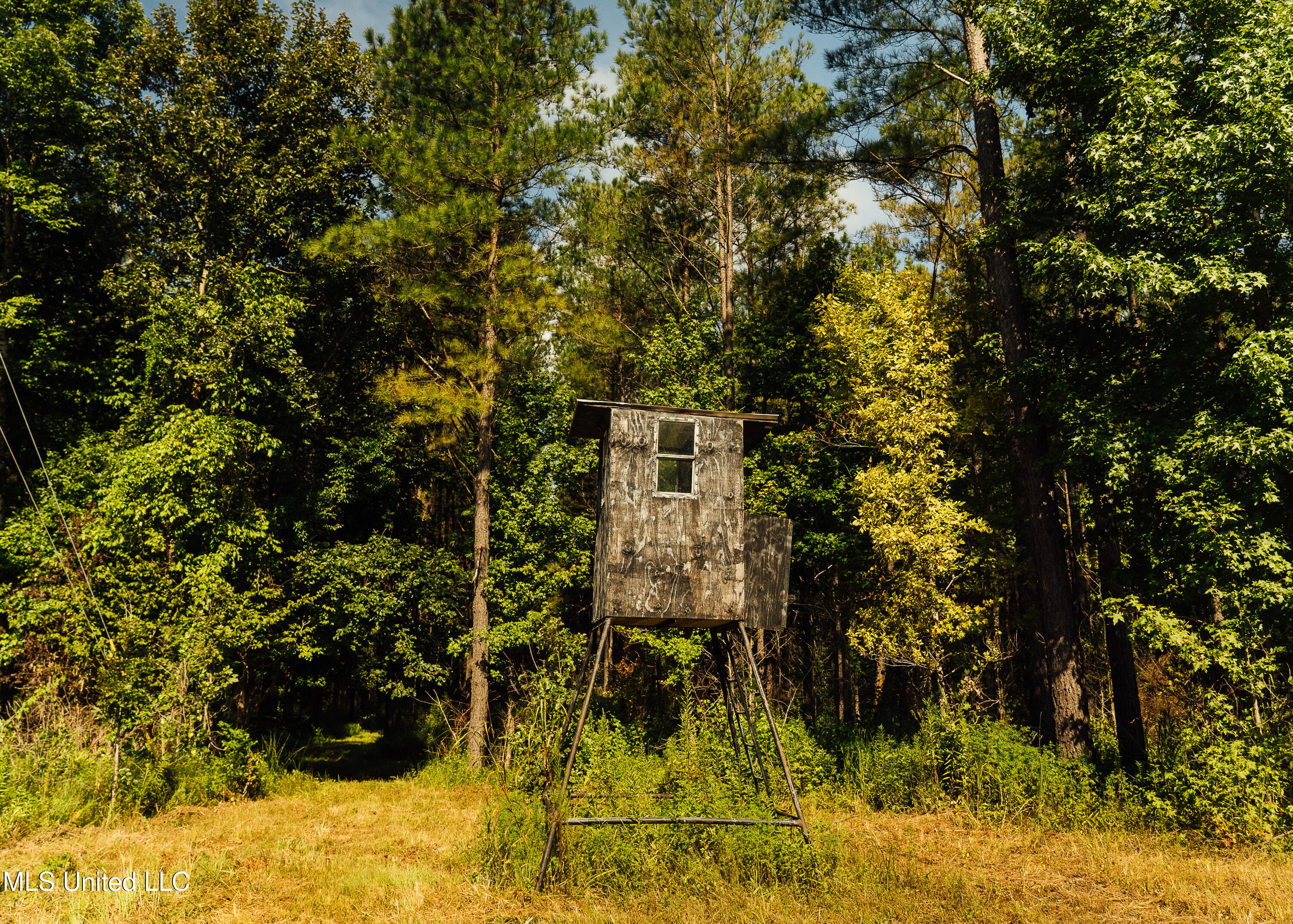 Weir-Highpoint Road McCool, MS 39108 - Photo 49 of 67 457 CHOCTAW PICS-46