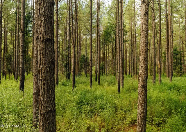 $1,295,000 | Weir-Highpoint Road, McCool, MS 39108