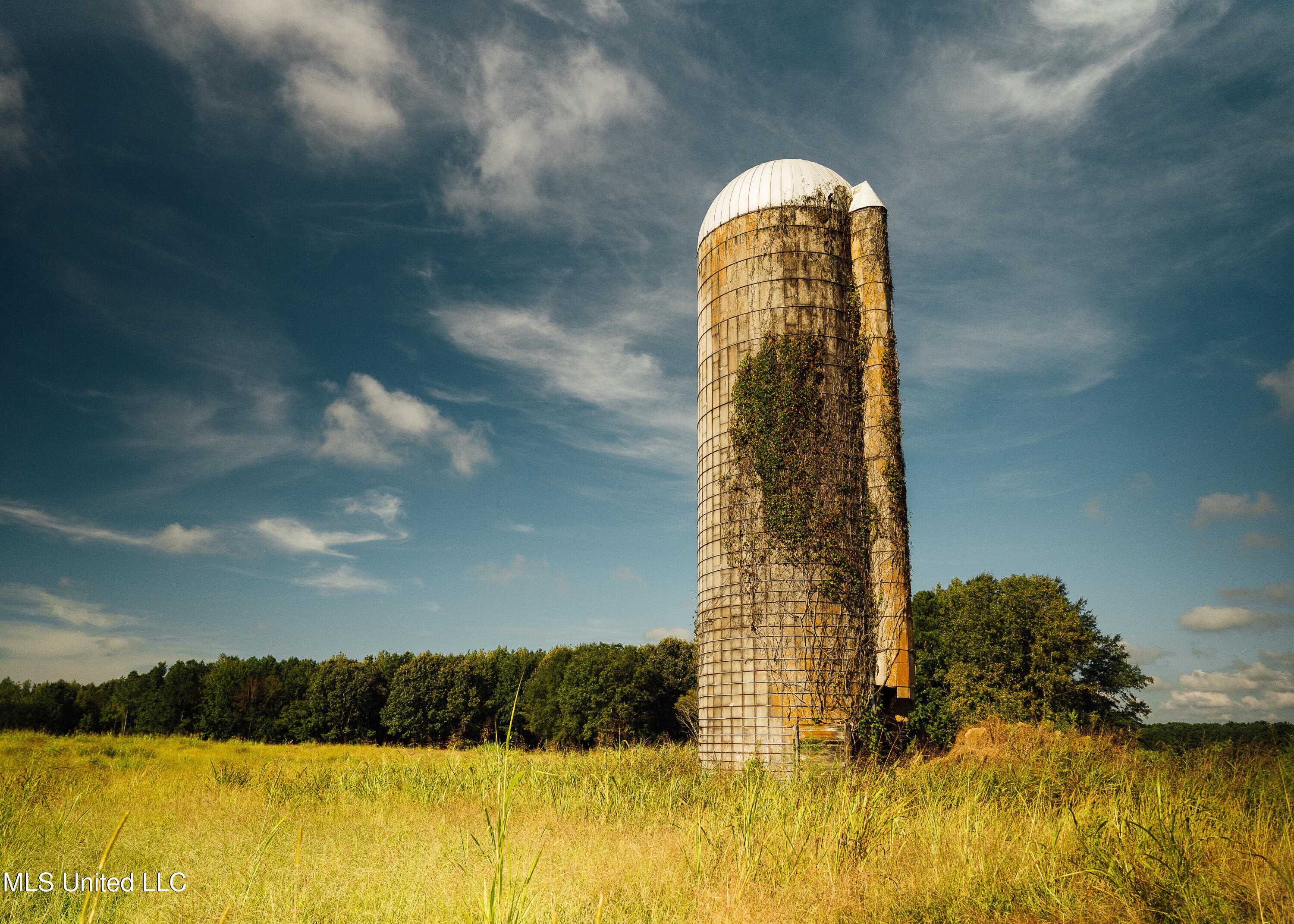 Weir-Highpoint Road McCool, MS 39108 - Photo 5 of 67 457 CHOCTAW PICS 4