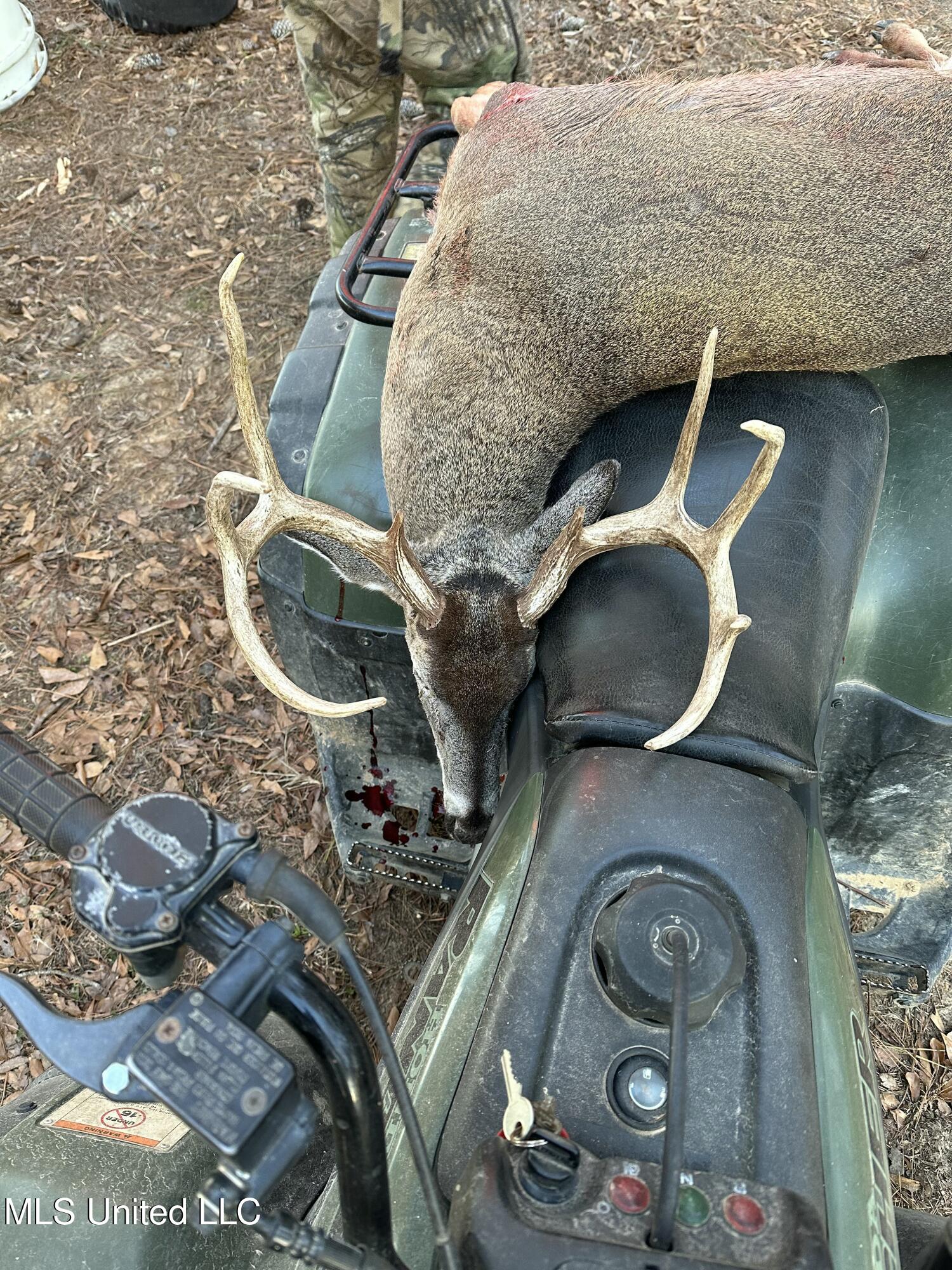 Weir-Highpoint Road McCool, MS 39108 - Photo 53 of 67 Game Pic 2