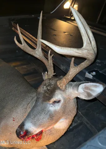 $1,295,000 | Weir-Highpoint Road, McCool, MS 39108