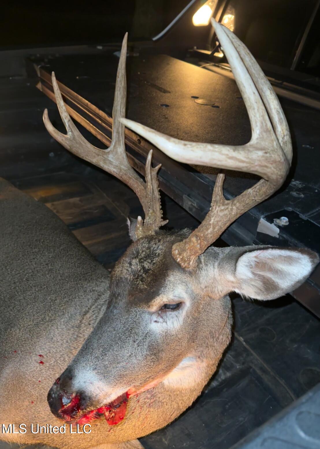 Weir-Highpoint Road McCool, MS 39108 - Photo 54 of 67 IMG_1819