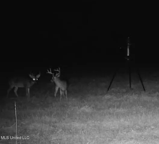 $1,295,000 | Weir-Highpoint Road, McCool, MS 39108