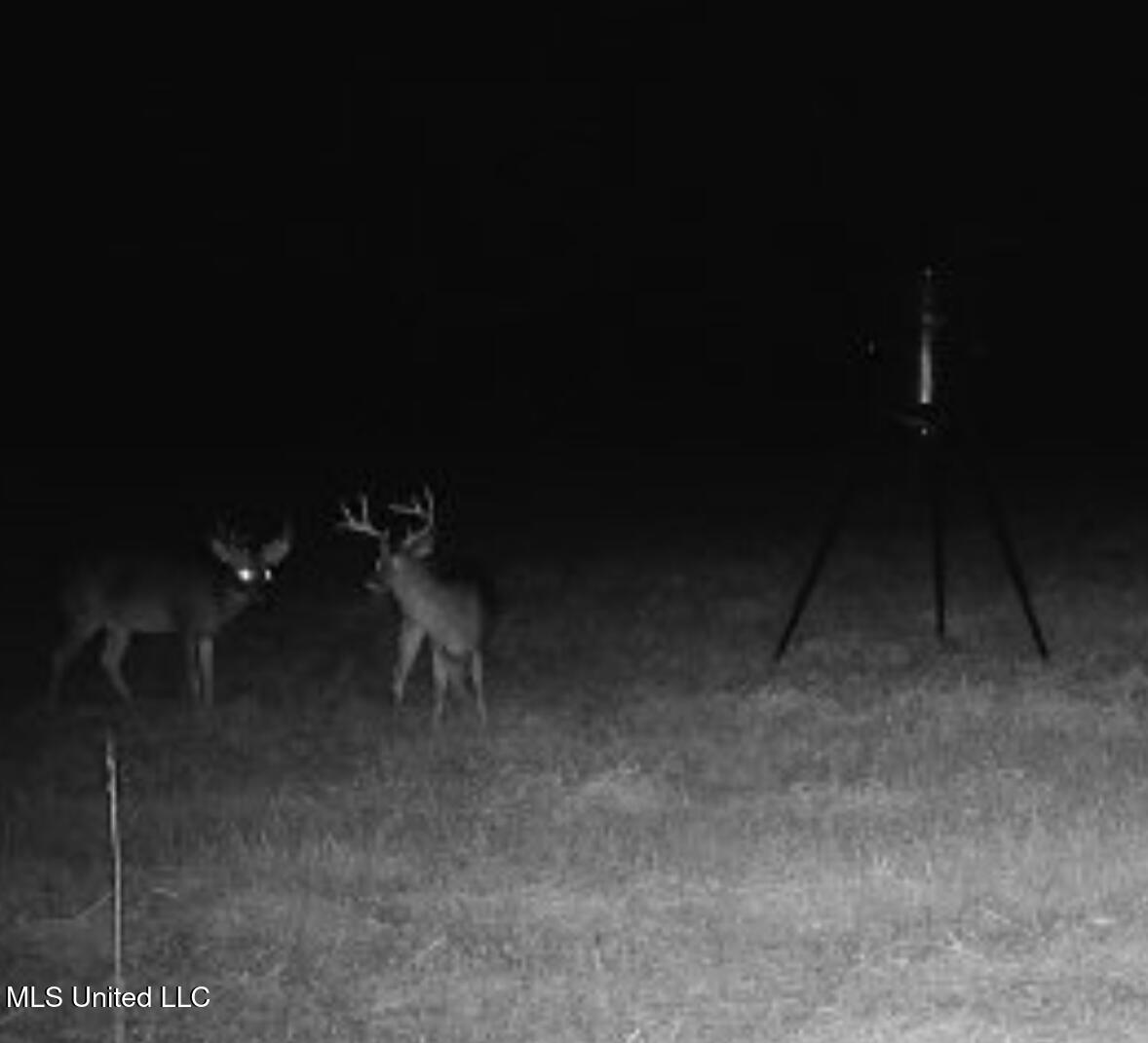 Weir-Highpoint Road McCool, MS 39108 - Photo 55 of 67 IMG_2684