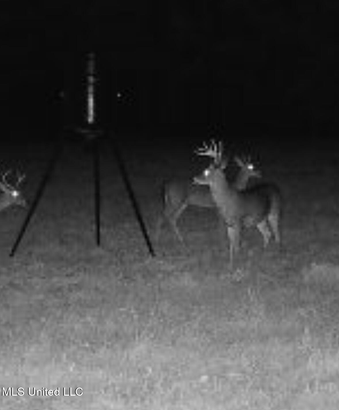 Weir-Highpoint Road McCool, MS 39108 - Photo 56 of 67 IMG_2692