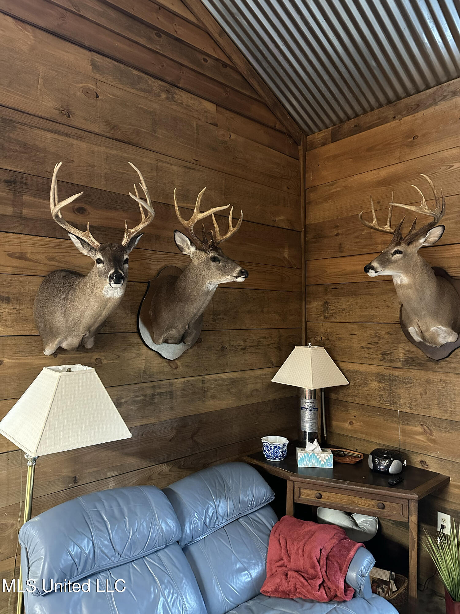 Weir-Highpoint Road McCool, MS 39108 - Photo 60 of 67 Game Pic 5