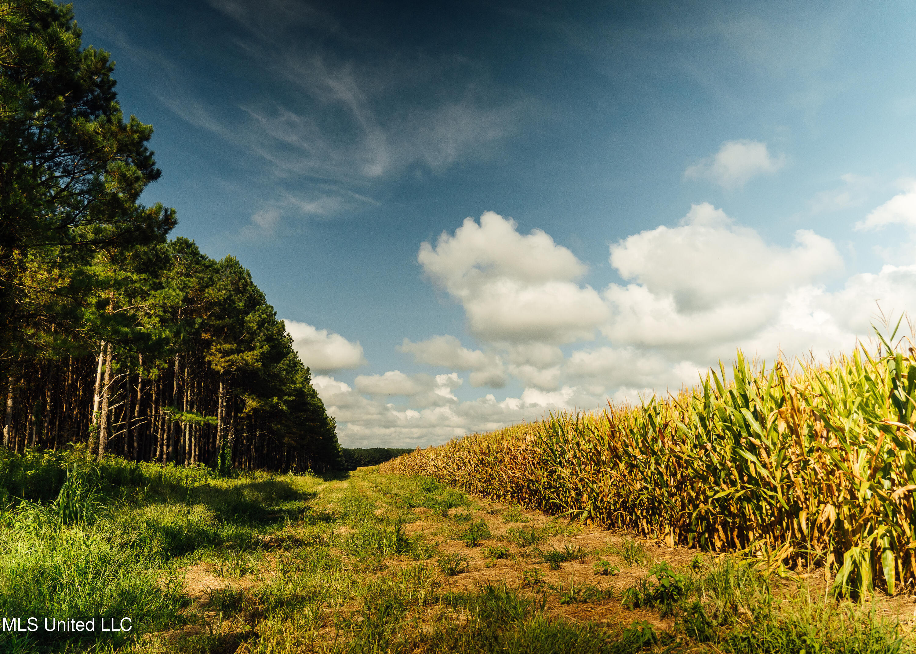 Weir-Highpoint Road McCool, MS 39108 - Photo 6 of 67 457 CHOCTAW PICS 5