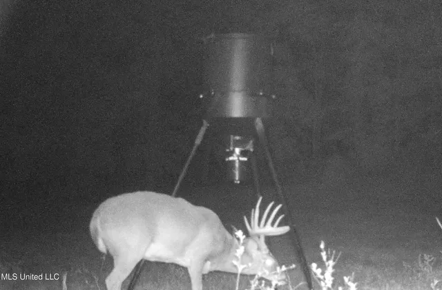 $1,295,000 | Weir-Highpoint Road, McCool, MS 39108