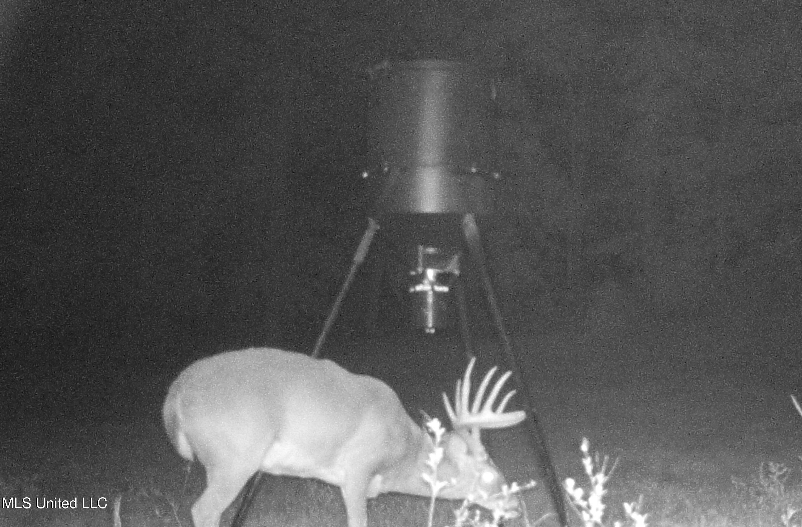 Weir-Highpoint Road McCool, MS 39108 - Photo 61 of 67 IMG_0001