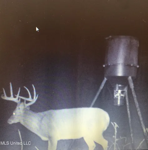 $1,295,000 | Weir-Highpoint Road, McCool, MS 39108