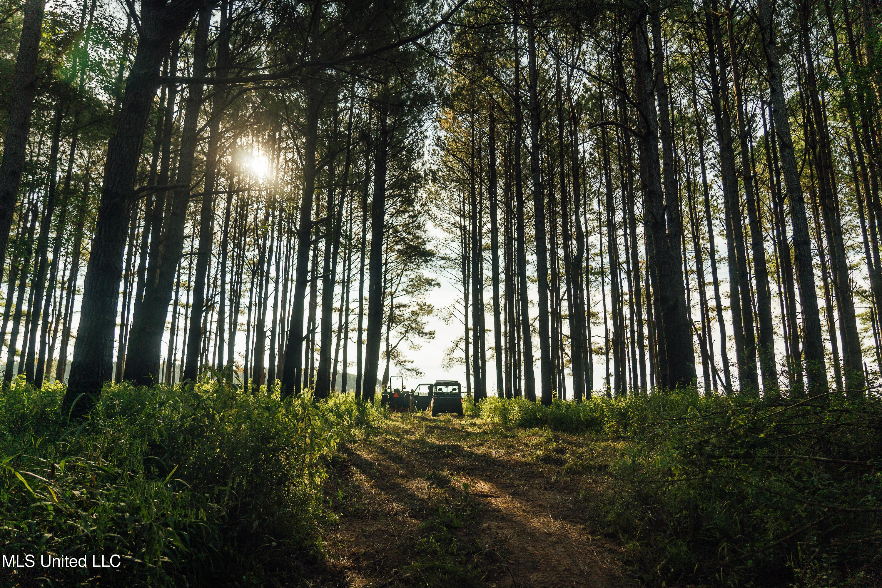 Weir-Highpoint Road McCool, MS 39108 - Photo 9 of 67 457 CHOCTAW PICS-25