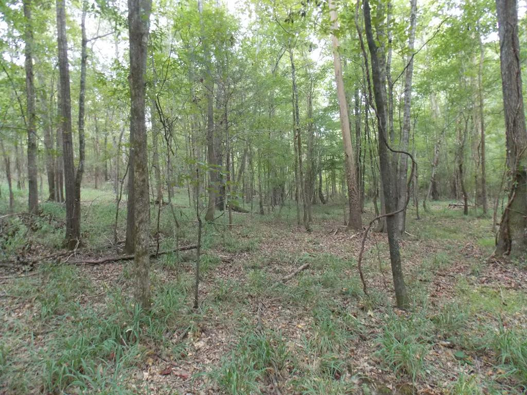 2 Baker Davis Road Lincolnton, GA 30817 - Photo 1 of 9 Main View