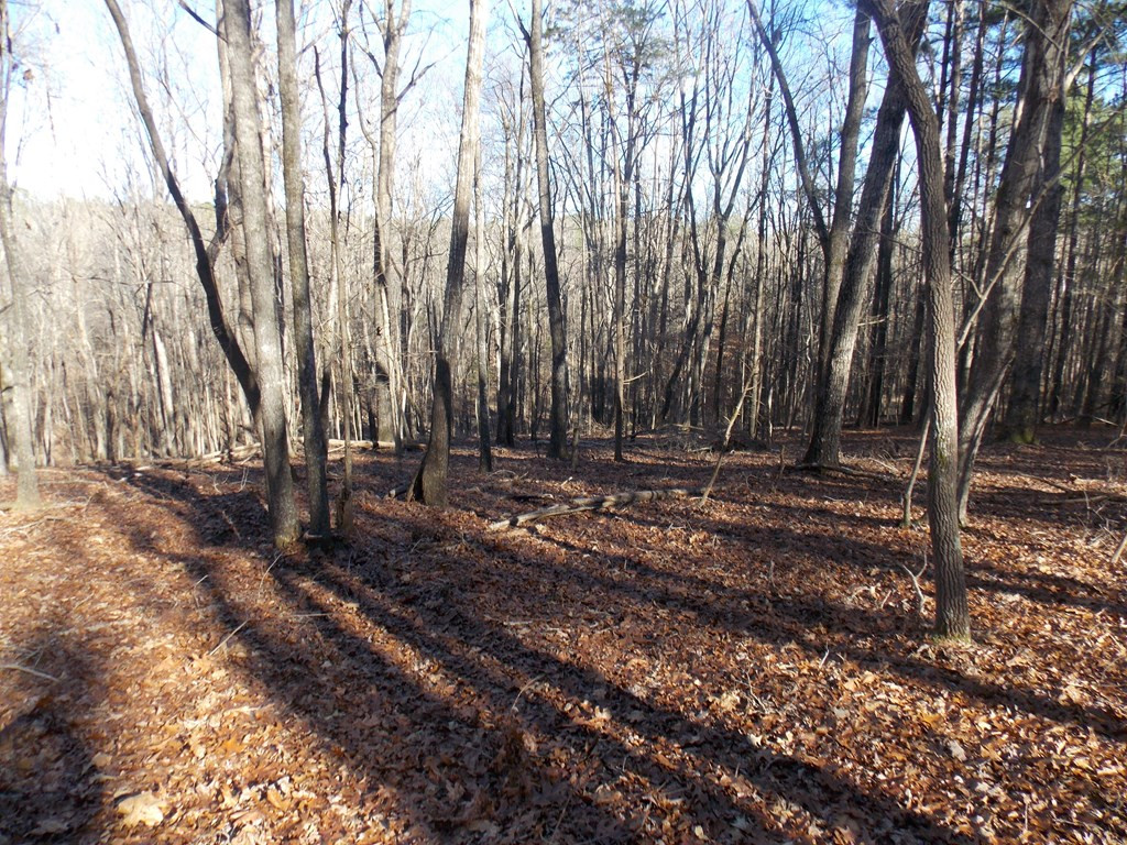 2 Baker Davis Road Lincolnton, GA 30817 - Photo 3 of 9 Gallery Image 3