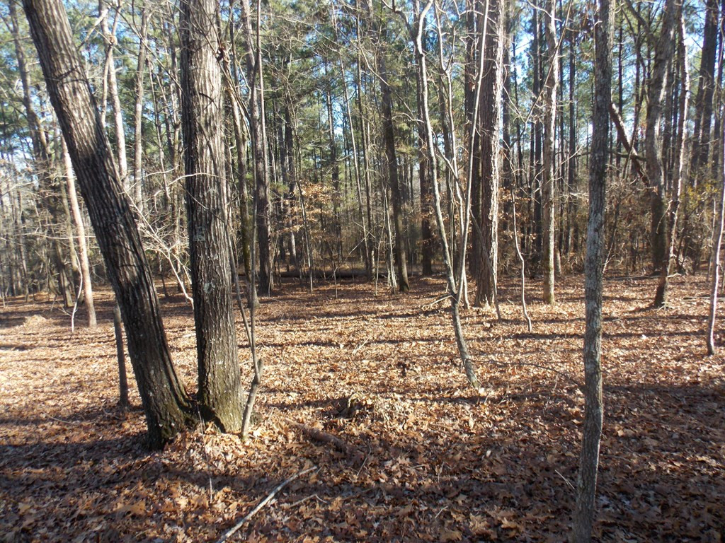 2 Baker Davis Road Lincolnton, GA 30817 - Photo 4 of 9 Gallery Image 4