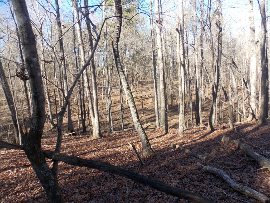 2 Baker Davis Road Lincolnton, GA 30817 - Photo 5 of 9 Gallery Image 5