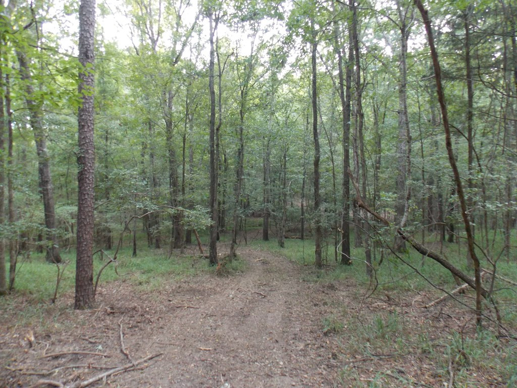 2 Baker Davis Road Lincolnton, GA 30817 - Photo 6 of 9 Gallery Image 6