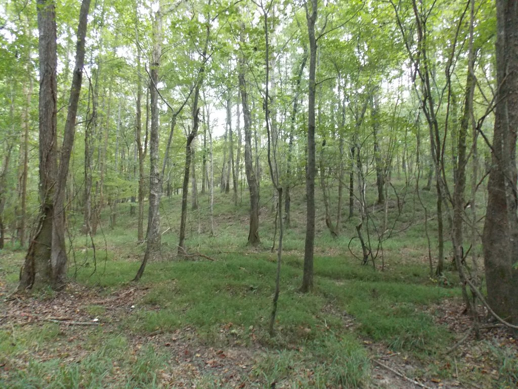 2 Baker Davis Road Lincolnton, GA 30817 - Photo 8 of 9 Gallery Image 8