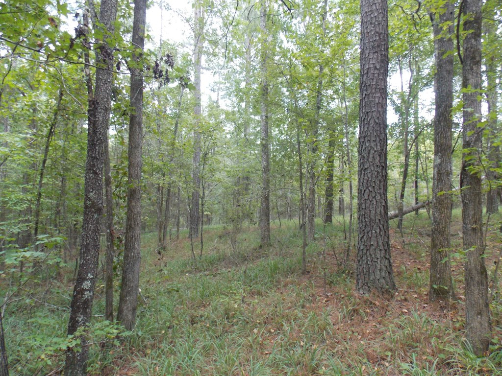 2 Baker Davis Road Lincolnton, GA 30817 - Photo 9 of 9 Gallery Image 9