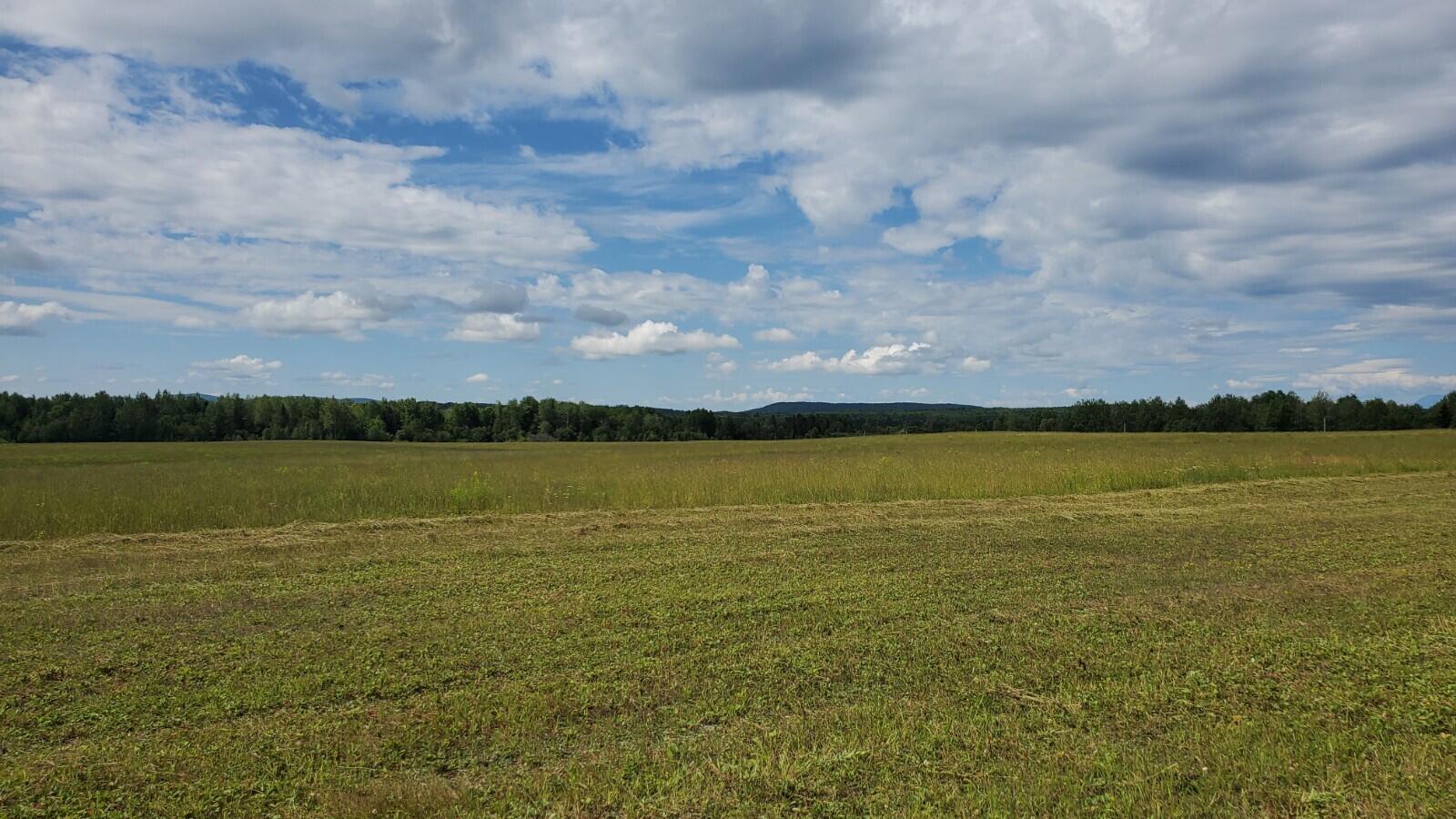 Lot 29 Rebel Hill Road Merrill, ME 04780 - Photo 9 of 11 20210723_102217