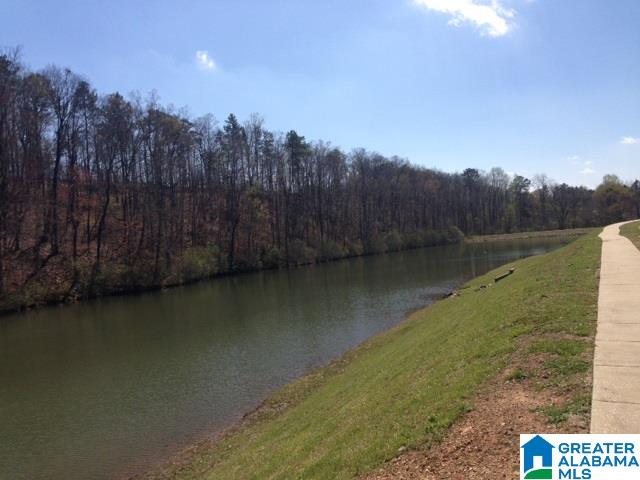 333 Chesser Loop Circle Chelsea, AL 35043 - Photo 4 of 6