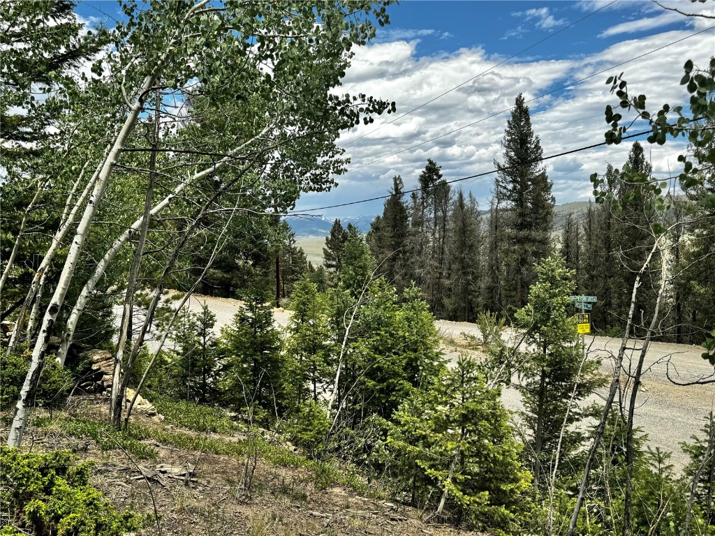 1063 Redhill Road Fairplay, CO 80440 - Photo 19 of 31 Gallery Image 19