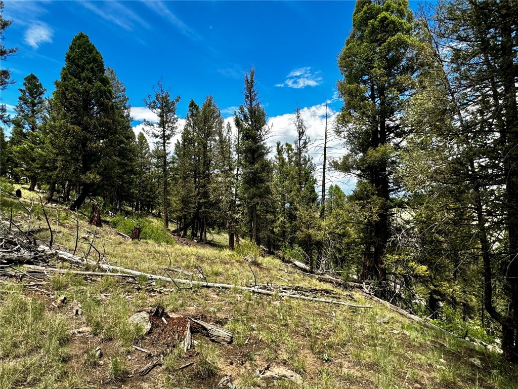 1063 Redhill Road Fairplay, CO 80440 - Photo 23 of 31 Gallery Image 23