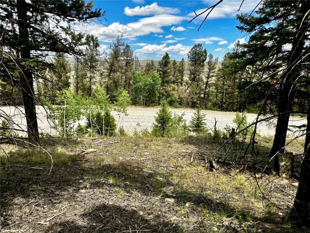 1063 Redhill Road Fairplay, CO 80440 - Photo 27 of 31 Gallery Image 27