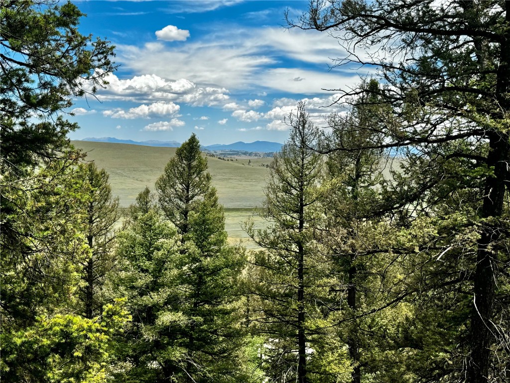 1063 Redhill Road Fairplay, CO 80440 - Photo 6 of 31 Gallery Image 6