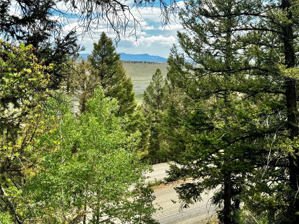 1063 Redhill Road Fairplay, CO 80440 - Photo 10 of 31 Gallery Image 10