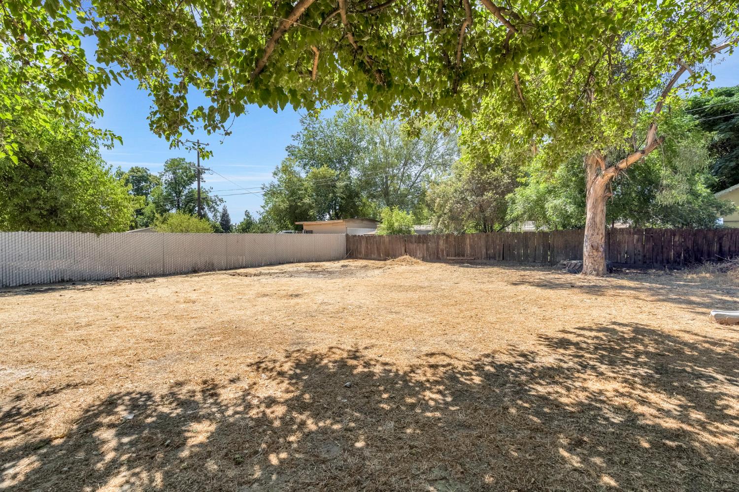27208 Saunders Road Madera, CA 93637 - Photo 26 of 27 a view of a yard with a tree