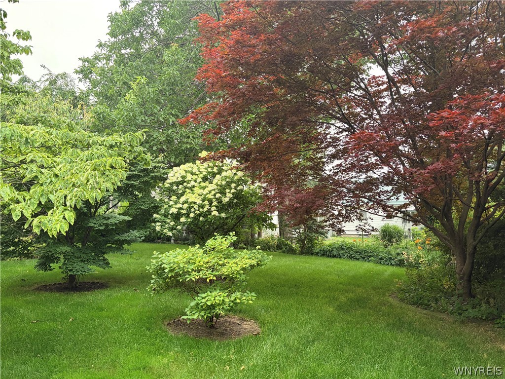 9 Norran Drive Rochester, NY 14609 - Photo 33 of 35