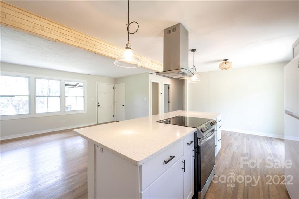19 Cub Road Asheville, NC 28806 - Photo 7 of 23 Gallery Image 7